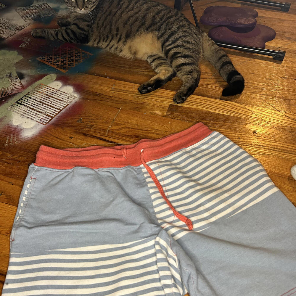 N Boundaries Men's Casual Shorts - Striped and Stylish!